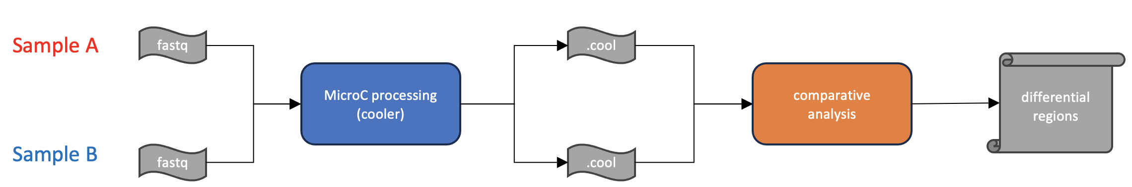 ../_images/CA_MC_fig1.png