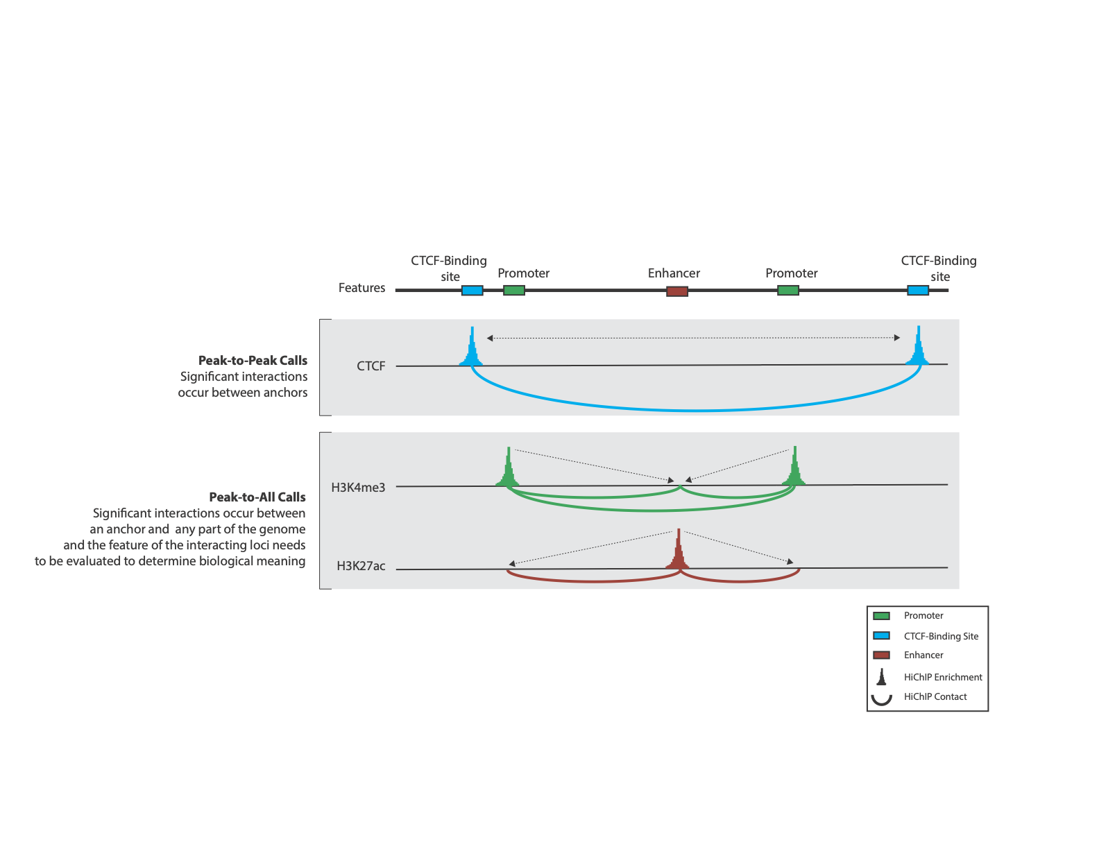 ../_images/loops_interactions.png